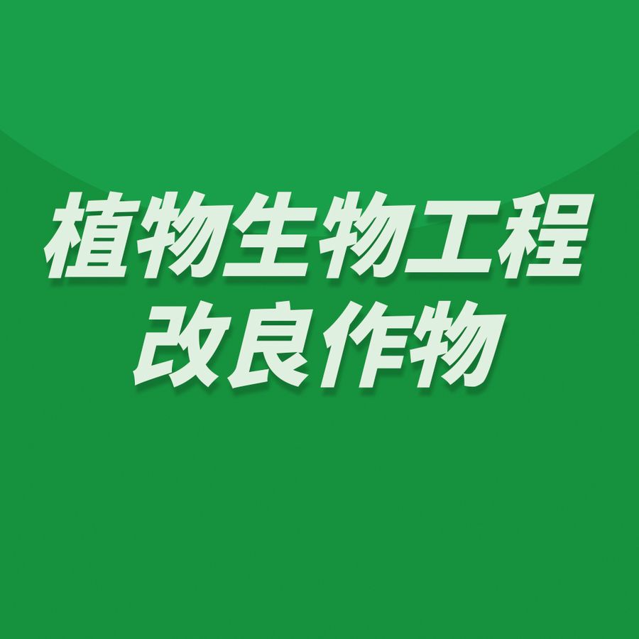 合同开发与技术服务